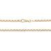 Gold chain necklace on a white background